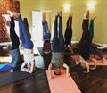 Trainees in headstand fall 2015
